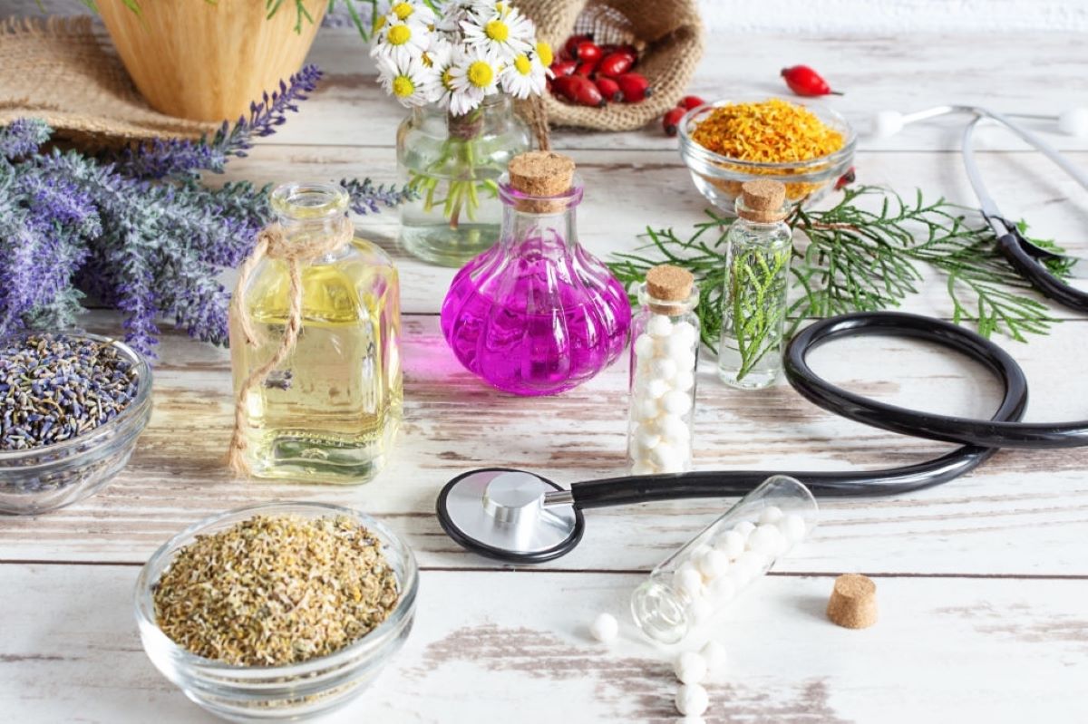 L'image représente des plantes médicinales