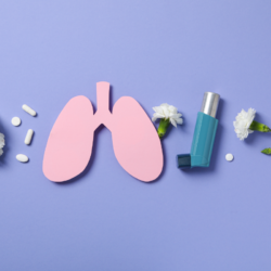 L'image représente une mise en scène simplifiée illustrant le thème des allergies et du traitement de l'asthme. Au centre, une silhouette de poumons en papier rose est placée sur un fond violet unicolore. À gauche, un bouquet de fleurs blanches avec des comprimés dispersés autour symbolise les allergènes naturels et les traitements médicamenteux traditionnels pour les allergies. À droite, un inhalateur d'asthme évoque le traitement médical pour les réactions allergiques affectant la respiration.