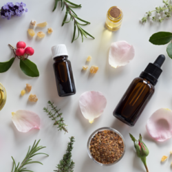 Une composition harmonieuse de produits d'aromathérapie et d'éléments naturels sur un fond blanc. Plusieurs flacons en verre brun, dont certains équipés de pipettes, contenant des huiles essentielles, sont dispersés parmi des pétales de rose pâle et de rose vif, des branches de lavande, des feuilles de romarin, des baies rouges, des pépites de résine d'ambre et un petit bol de cristaux de sel brun. L'image dégage une ambiance de sérénité et d'équilibre naturel, évoquant les principes et la douceur de l'aromathérapie pratiquée en naturopathie.