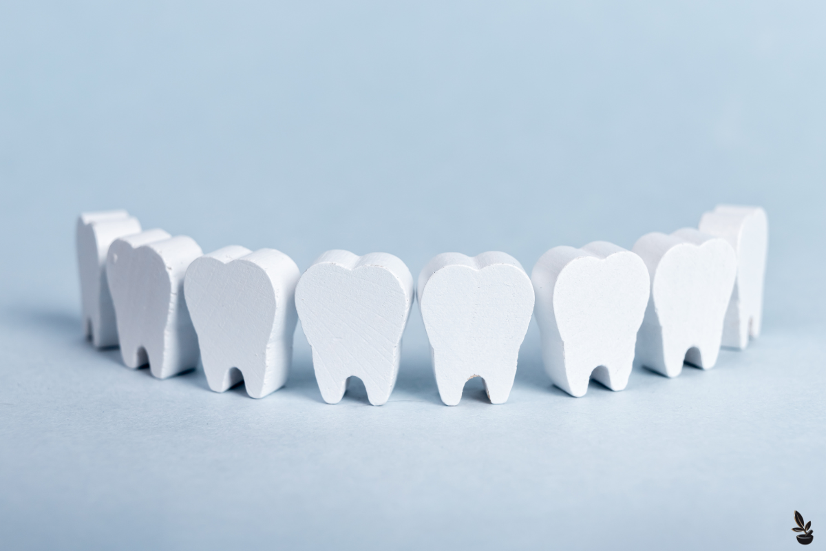 L'image représente une rangée de dents blanches stylisées, alignées côte à côte contre un fond bleu clair. Ces dents en forme de symbole ou jouet évoquent la croissance des dents chez un enfant, un sujet pertinent pour discuter des moyens de soulager la poussée dentaire chez les bébés. Cela pourrait symboliser la santé dentaire, le développement des jeunes enfants ou la dentisterie pédiatrique.