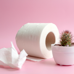 Dans cette image, on trouve une représentation créative et métaphorique de la gêne et de l'inconfort associés aux hémorroïdes. Un rouleau de papier toilette, élément quotidien et essentiel pour l'hygiène personnelle, est placé à côté d'un pot contenant un cactus épineux. Le contraste entre la douceur présumée du papier et la nature piquante du cactus illustre la douleur et l'irritation que les hémorroïdes peuvent causer lors de l'utilisation du papier toilette. Cette image peut servir de point de départ pour aborder le sujet sensible des hémorroïdes et la recherche de traitements alternatifs comme la naturopathie, qui pourrait offrir des solutions plus douces et naturelles pour apaiser et traiter cette condition douloureuse.