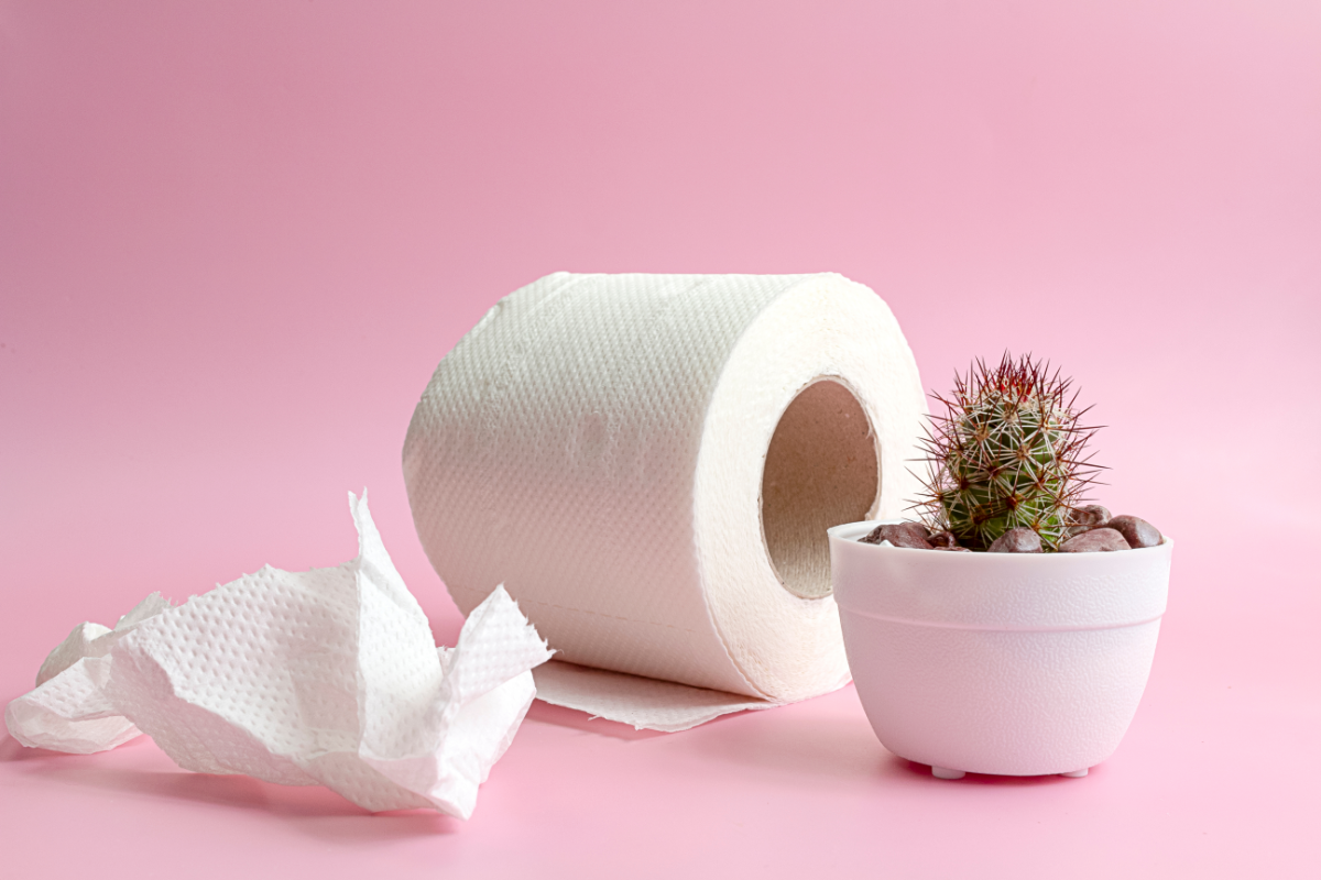 Dans cette image, on trouve une représentation créative et métaphorique de la gêne et de l'inconfort associés aux hémorroïdes. Un rouleau de papier toilette, élément quotidien et essentiel pour l'hygiène personnelle, est placé à côté d'un pot contenant un cactus épineux. Le contraste entre la douceur présumée du papier et la nature piquante du cactus illustre la douleur et l'irritation que les hémorroïdes peuvent causer lors de l'utilisation du papier toilette. Cette image peut servir de point de départ pour aborder le sujet sensible des hémorroïdes et la recherche de traitements alternatifs comme la naturopathie, qui pourrait offrir des solutions plus douces et naturelles pour apaiser et traiter cette condition douloureuse.