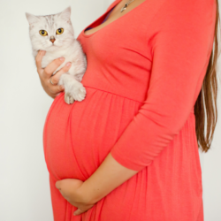 Comment prévenir la toxoplasmose naturellement