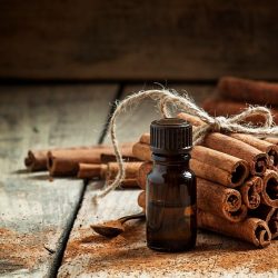 Ceylon Kaneelschors Essentiële Olie