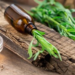 L'image représente une fiole contenant de l'estragon, sur une table en bois.