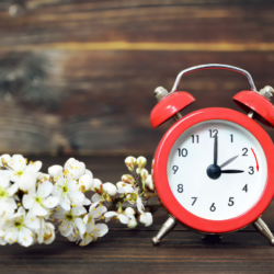 Un réveil rouge indiquant le passage à l’heure d’été, accompagné de fleurs blanches sur un fond en bois, illustrant le changement d’heure et son impact sur notre rythme biologique.