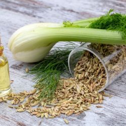 fenouil