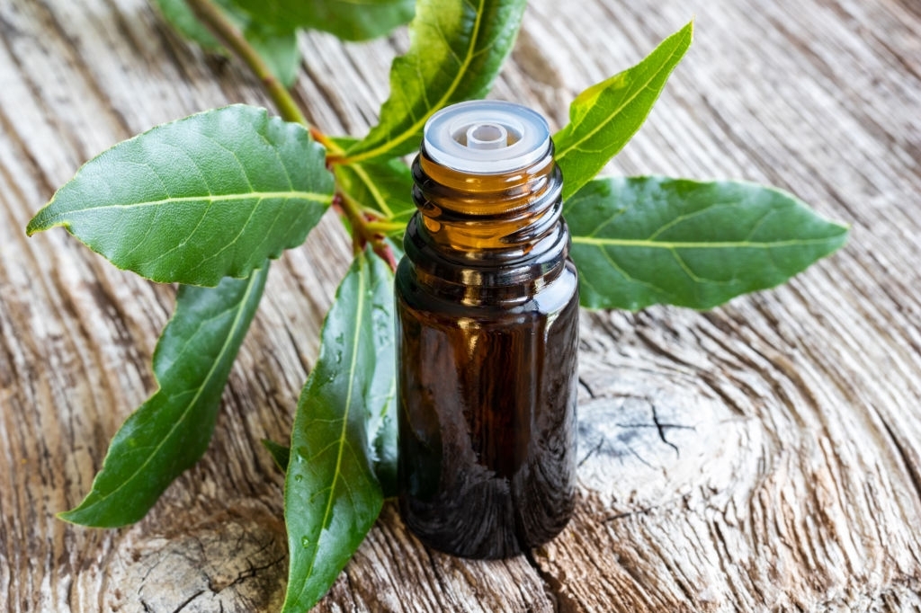 Olio essenziale di Laurel Noble, pianta di Hermès