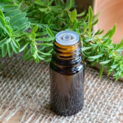 L'image représente une fiole d'huile essentielle de sarriette
