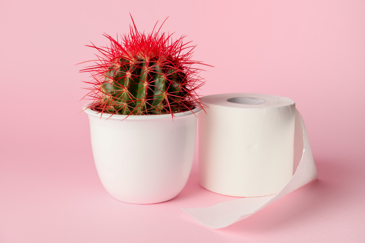 Un cactus aux épines rouges planté dans un pot blanc se trouve à côté d'un rouleau de papier toilette sur un fond rose, évoquant de manière humoristique le thème des soins et des remèdes pour les douleurs et l'inconfort liés aux hémorroïdes.
