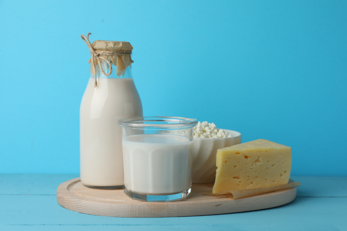 Une sélection de produits laitiers sur un fond bleu, illustrant différents types de lait et fromages qui peuvent affecter les personnes avec une intolérance au lactose. On y voit une bouteille de lait fermée par un couvercle en papier, un verre de lait, un bol de fromage cottage, et un morceau de fromage à pâte dure, disposés sur une planche en bois ronde. Ces produits variés représentent des sources potentielles de lactose, sujet central pour les individus gérant cette intolérance alimentaire.