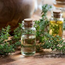 Proprietà dell'olio essenziale di fiori di timo e thujanol