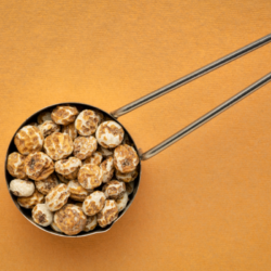 Allergie aux noix : Par quoi peut on remplacer les amandes Focus sur le souchet