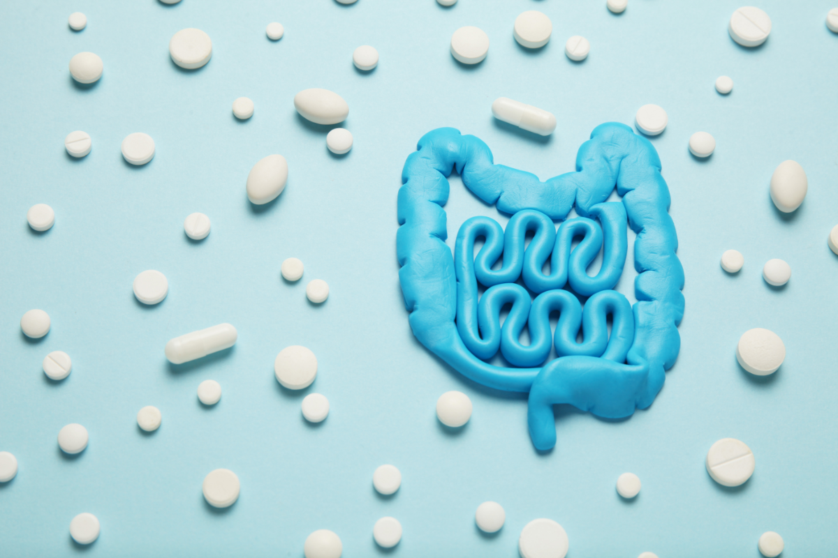 L'image est une représentation du système digestif. Les probiotiques ont-ils un lien avec la santé de la peau