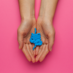 Quel probiotique choisir pour être en harmonie de l'intérieur ? Focus sur la marque Probiolog