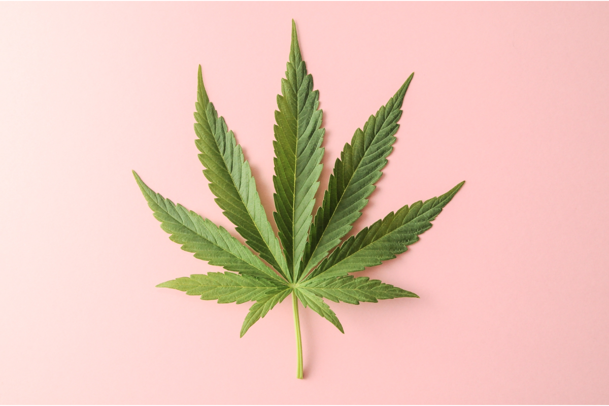 Quel impact le cannabis a sur la santé?