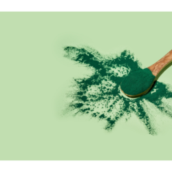 L'image représente une cuillère en bois avec de l'algue en poudre de type spiruline. L tout sur un fond vert clair. Quels sont les bienfaits des algues pour la santé