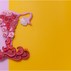 L'image est une représentation artistique et colorée de l'appareil reproductif féminin La journée mondiale contre l'endométriose