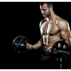 L'image représente un homme en train de faire du bicep curl à la barre. Comment récupérer plus vite après une séance de sport