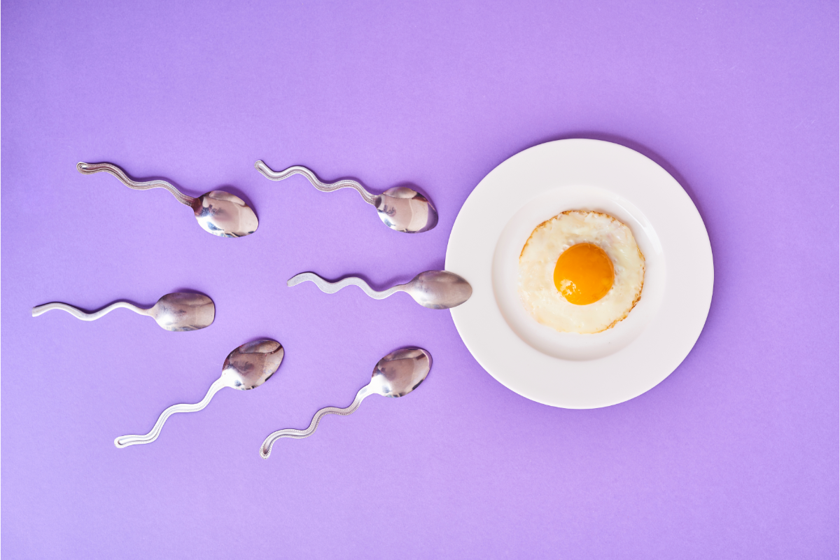 L'image représente un oeuf au plat dans une assiette, avec des cuillères qui ressemblent fortement a des spermatozoïdes qui se dirige tout droit vers l'œuf. Comment la micronutrition peut aider à booster la fertilité