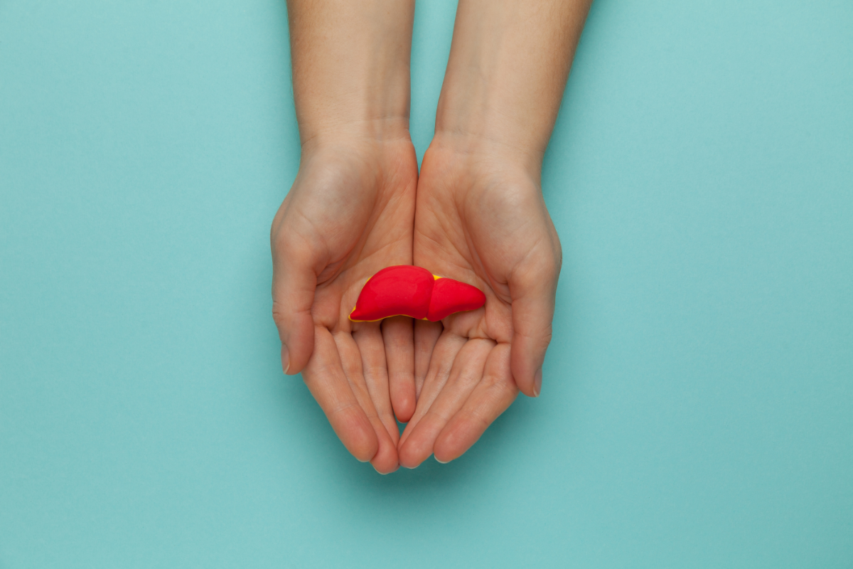 L'image représente deux mains avec une foie fictif miniature. Ergyepur Foie et santé hépatique optimale.