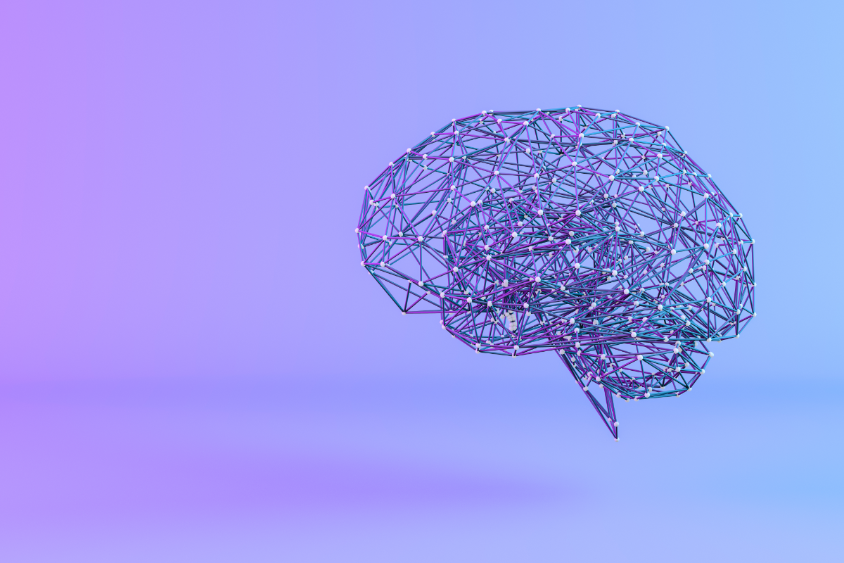 l'image représente une cerveau. Haut potentiel intellectuel Comment gérer le quotidien