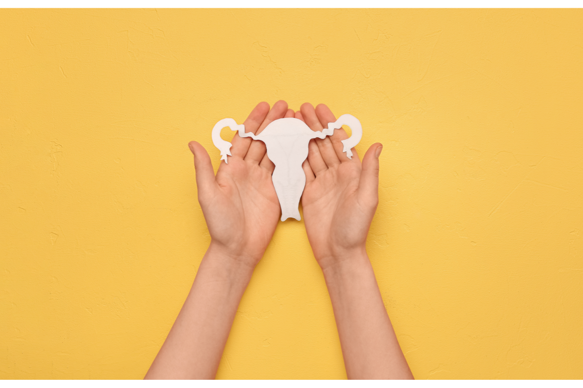 L'image représente deux mains qui tiennent une représentation de l'appareil reproductif féminin. Huile d’onagre et dérèglement hormonal