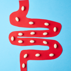 L'image représente un intestin parcouru par des comprimés blancs. Probiotique prebiotique postbiotique Le monde fascinant des biotiques