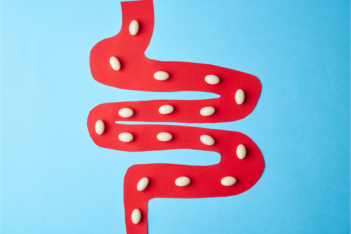 L'image représente un intestin parcouru par des comprimés blancs. Probiotique prebiotique postbiotique Le monde fascinant des biotiques