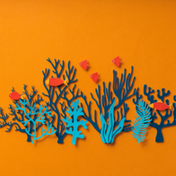 Doit-on vraiment manger du poisson