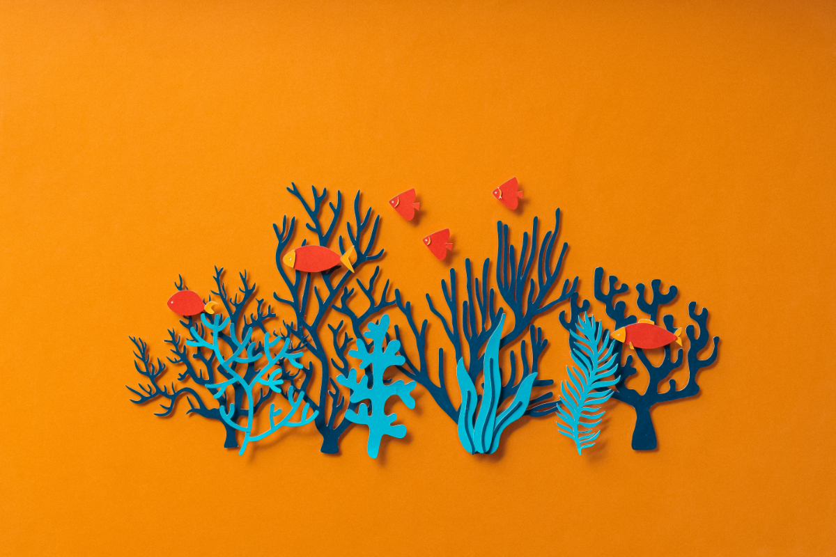 Doit-on vraiment manger du poisson