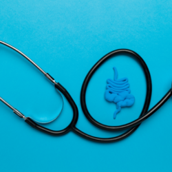 L'image représente le système digestif. Quelle alimentation pour apaiser le syndrome de l'intestin irritable