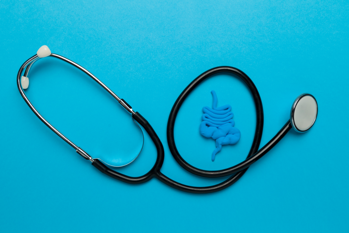 L'image représente le système digestif. Quelle alimentation pour apaiser le syndrome de l'intestin irritable