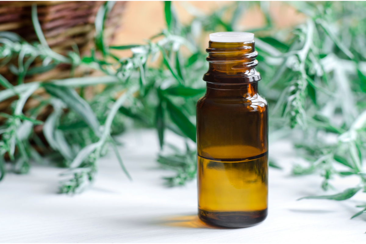 flacon d'huile essentielle avec des feuilles d'armoises