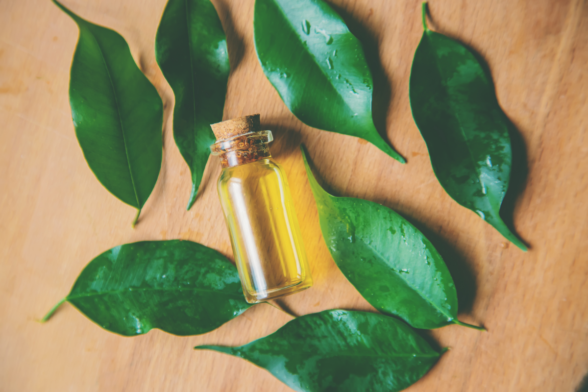 Bienvenue dans notre article dédié à l'huile essentielle de tea tree. Découvrez ses propriétés, ses utilisations et bien plus encore pour profiter au maximum de ses bienfaits.