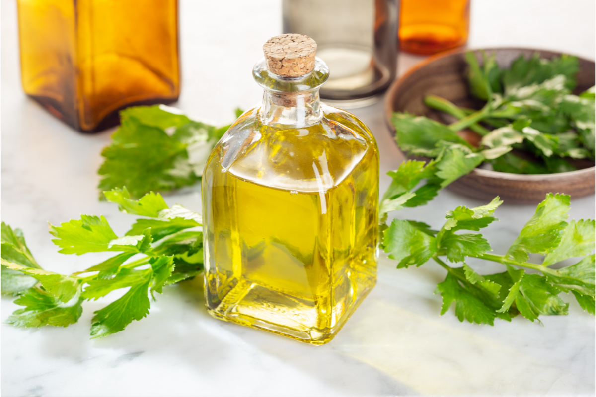 L'image représente une branche de céleri ainsi que son huile essentielle