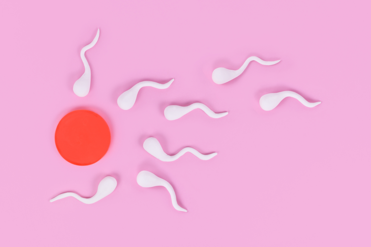 le sexe pendant la grossesse. l'image représente des spermatozoïdes