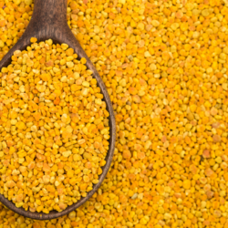 L'image représente une cuillère pleine de pollen.