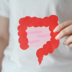 Texte alternatif: "Une personne tient une illustration découpée représentant un intestin en papier. Les couches de papier créent un effet de dimension pour symboliser l'intestin affecté par l'entérocolite. Les couleurs sont principalement rouge et rose, évoquant une zone enflammée ou irritée, ce qui est caractéristique de l'entérocolite. L'arrière-plan est simple et neutre pour ne pas détourner l'attention de l'illustration centrale.