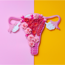 Cette image est une représentation artistique et créative de l'utérus fait avec du papier découpé. Le fond est divisé en deux couleurs, rose et jaune, et l'utérus est orné de fleurs en papier roses et rouges, qui semblent symboliser la beauté et la complexité de la santé féminine, en lien avec le sujet de l'endométriose et sa prise en charge, y compris par l'homéopathie.