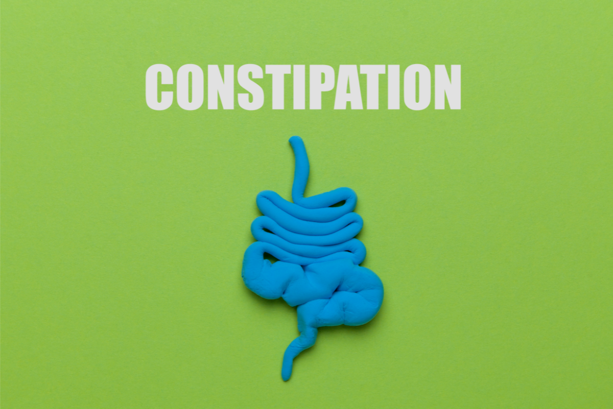 Une représentation du système digestif en bleu, sur un fond vert. On peut également voir l'inscription "constipation" en lettres majuscules en blanc.