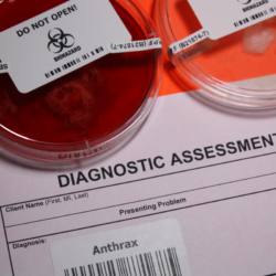 résultat de diagnostique à l'anthrax