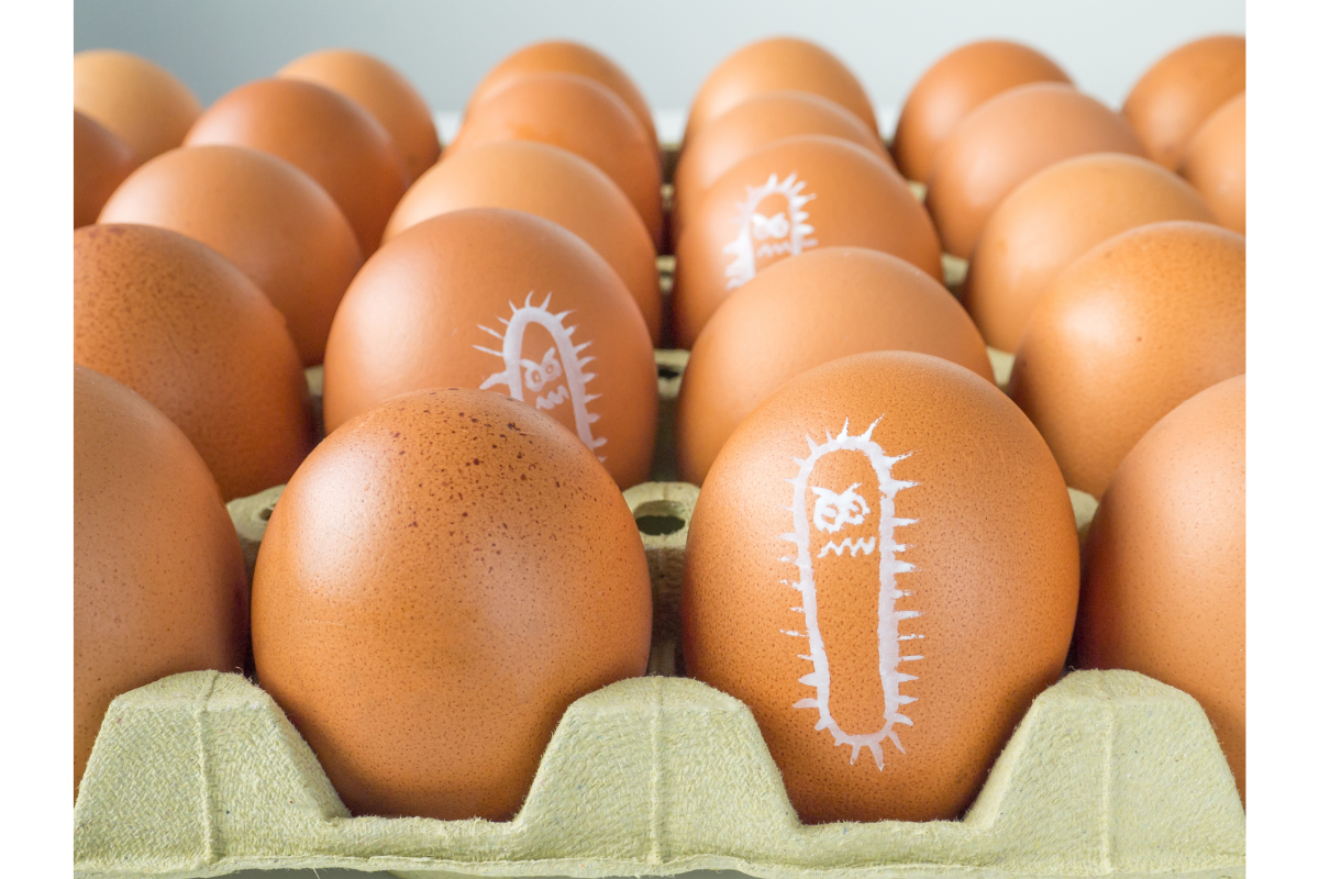 boite d'oeufs avec des bactéries dessinées