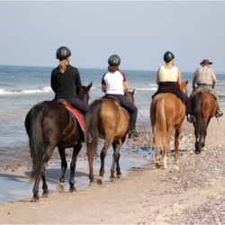 chevaux et cavaliers à la plage