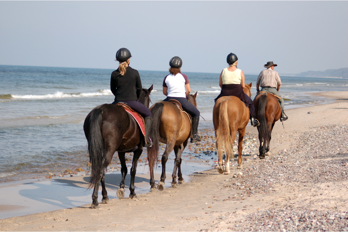chevaux et cavaliers à la plage