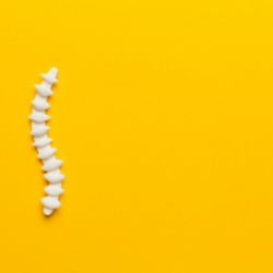 Représentation visuelle d'une colonne vertébrale, mettant en lumière l'importance de la densité osseuse et de la prévention de l'ostéoporose grâce à des méthodes innovantes telles que l'utilisation d'un gilet lesté. Cette illustration souligne l'impact positif de l'exercice avec surcharge pondérale sur la santé osseuse des femmes, en particulier celles ménopausées.