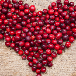 Cranberries fraîches disposées en forme de cœur sur une surface en bois, illustrant les bienfaits santé et le potentiel anticancéreux de ce superaliment.