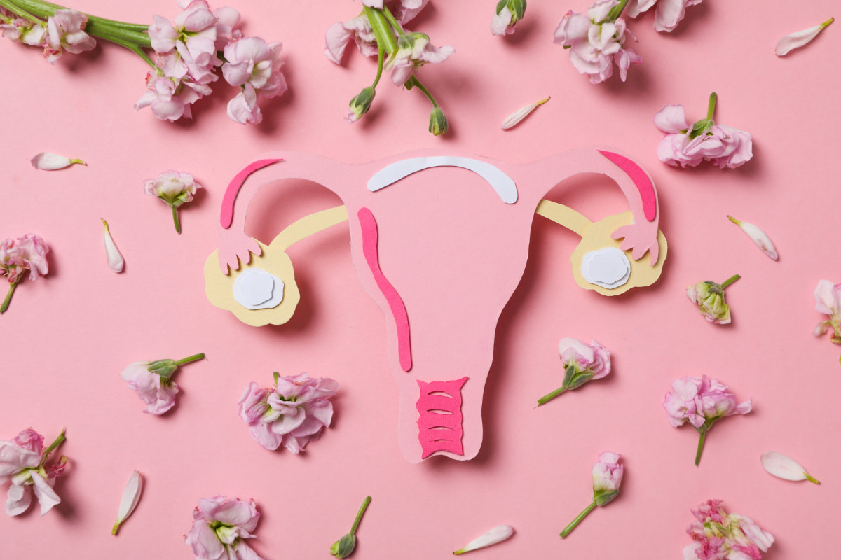 Illustration de la santé féminine mettant en avant l'utérus et les ovaires sur un fond rose fleuri, symbolisant la ménopause et les bienfaits naturels de la grenade pour la régulation hormonale, le soulagement des symptômes ménopausiques comme les bouffées de chaleur et le renforcement de la santé reproductive grâce aux antioxydants et phytoestrogènes contenus dans la grenade.