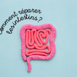 Comment réparer naturellement la perméabilité intestinale et soigner ses intestins