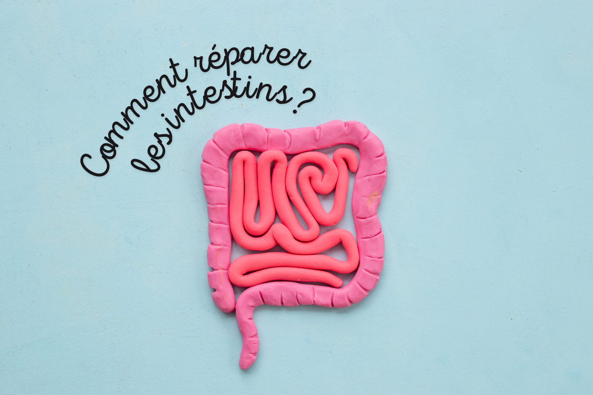 Comment réparer naturellement la perméabilité intestinale et soigner ses intestins